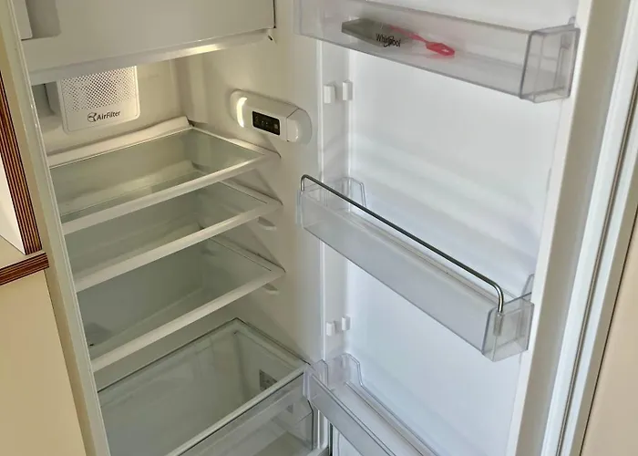 B&B Palmito 비다르