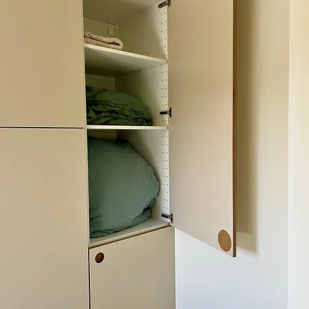 Palmito 3*