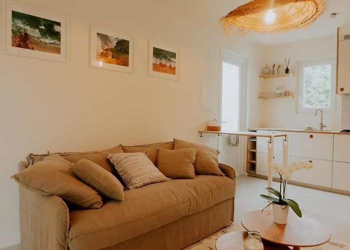 Palmito Bed & Breakfast Bidart